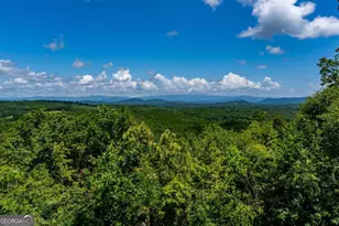 334 Hawksclaw Trl, Morganton, GA 30560 - Photo 51
