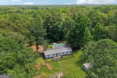 1199 Bo Bo Banks Road, Grantville, GA 30220 - Photo 45