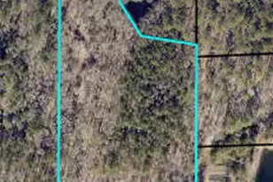 1204 Bo Bo Banks Rd, Grantville, GA 30220 - Photo 1