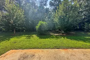 206 Daisy Cir, McDonough, GA 30252 - Photo 17