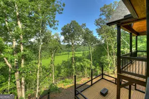 1729 Barnes Chapel Rd, Blue Ridge, GA 30513 - Photo 43