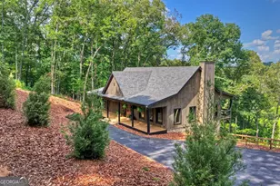 1729 Barnes Chapel Rd, Blue Ridge, GA 30513 - Photo 45