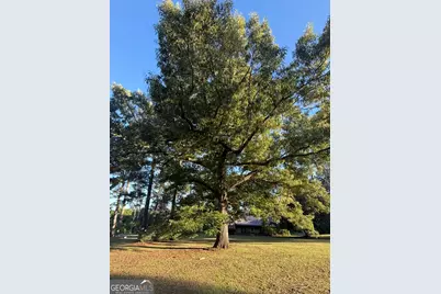 46 Redmond Road, Lumpkin, GA 31815 - Photo 11