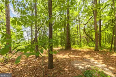 0 Hwy 80, Ellabell, GA 31308 - Photo 31