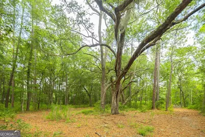 0 Hwy 80, Ellabell, GA 31308 - Photo 21