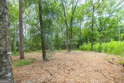 0 Hwy 80, Ellabell, GA 31308 - Photo 17