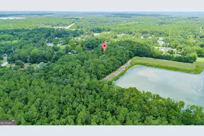 0 Hwy 80, Ellabell, GA 31308 - Photo 5