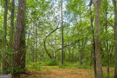 0 Hwy 80, Ellabell, GA 31308 - Photo 19