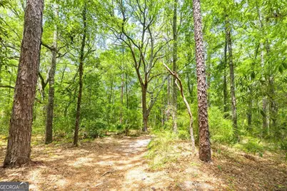 0 Hwy 80, Ellabell, GA 31308 - Photo 25