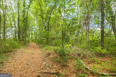 0 Hwy 80, Ellabell, GA 31308 - Photo 27