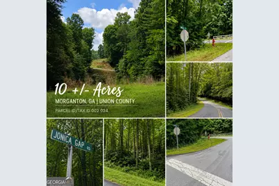 0 Jonica Gap Road, Morganton, GA 30560 - Photo 3
