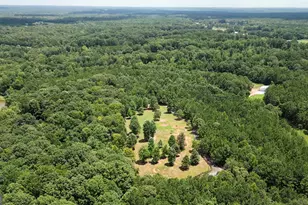 710 Line Creek Rd, Senoia, GA 30276 - Photo 109