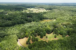710 Line Creek Rd, Senoia, GA 30276 - Photo 105