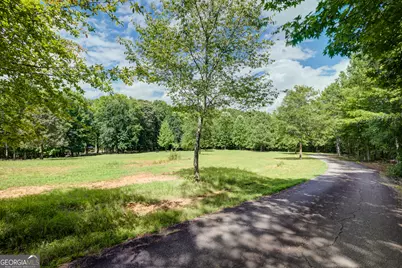 710 Line Creek Road, Senoia, GA 30276 - Photo 77