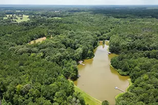 710 Line Creek Rd, Senoia, GA 30276 - Photo 93