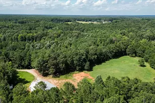 710 Line Creek Rd, Senoia, GA 30276 - Photo 107