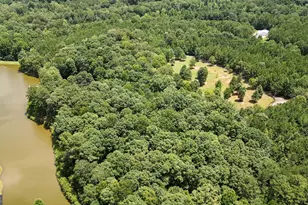 710 Line Creek Rd, Senoia, GA 30276 - Photo 97