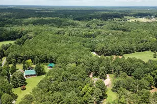 710 Line Creek Rd, Senoia, GA 30276 - Photo 103