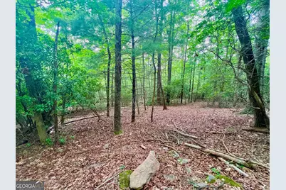 193 Opossum Road, Blairsville, GA 30512 - Photo 19