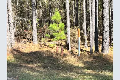 00 Mariners Way, Lincolnton, GA 30817 - Photo 3