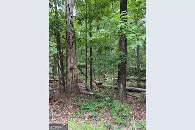 Lot 79 Island Creek Drive, Sparta, GA 31087 - Photo 3