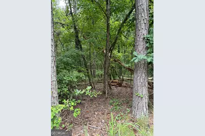 Lot 79 Island Creek Drive, Sparta, GA 31087 - Photo 1