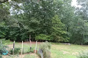 852 Martin Dr, Cleveland, GA 30528 - Photo 19