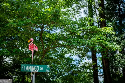230 Flamingo Dr, Monticello, GA 31064 - Photo 57