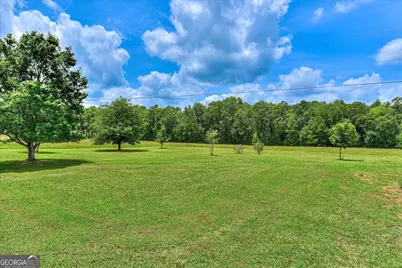 1229 Elberton Highway, Lincolnton, GA 30817 - Photo 93