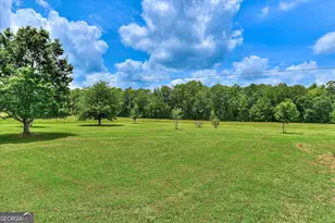 1229 Elberton Hwy, Lincolnton, GA 30817 - Photo 93