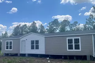 0 McLean Rd, Lumber City, GA 31549 - Photo 1