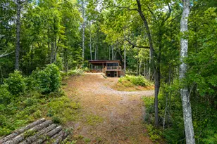 0 Higdon Creek Rd, Blue Ridge, GA 30513 - Photo 9