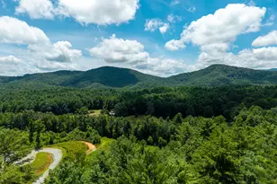 0 Higdon Creek Rd, Blue Ridge, GA 30513 - Photo 29