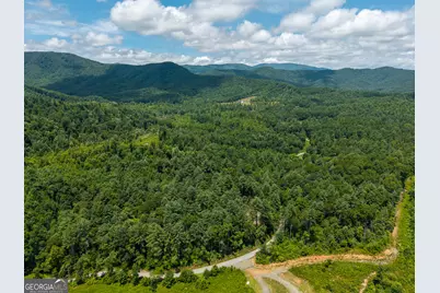 0 Higdon Creek Road, Blue Ridge, GA 30513 - Photo 41