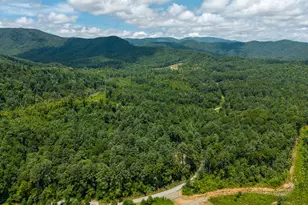 0 Higdon Creek Rd, Blue Ridge, GA 30513 - Photo 41