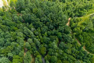 0 Higdon Creek Rd, Blue Ridge, GA 30513 - Photo 47