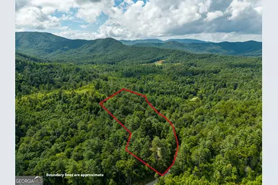 0 Higdon Creek Road, Blue Ridge, GA 30513 - Photo 43
