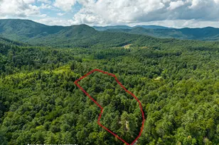 0 Higdon Creek Rd, Blue Ridge, GA 30513 - Photo 43