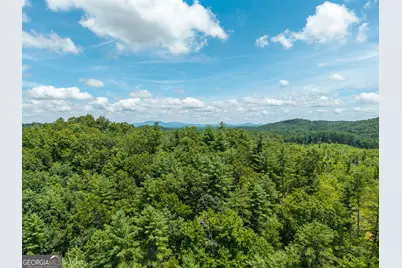 0 Higdon Creek Road, Blue Ridge, GA 30513 - Photo 33