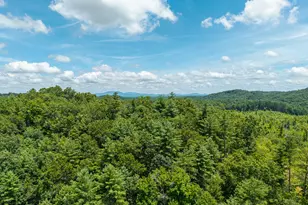 0 Higdon Creek Rd, Blue Ridge, GA 30513 - Photo 33