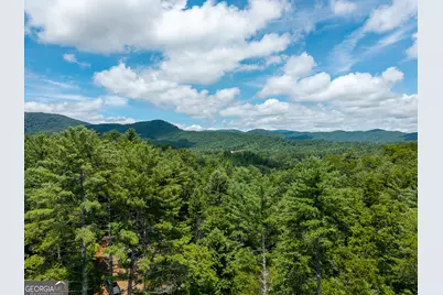 0 Higdon Creek Road, Blue Ridge, GA 30513 - Photo 31