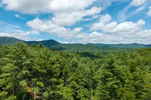 0 Higdon Creek Rd, Blue Ridge, GA 30513 - Photo 31