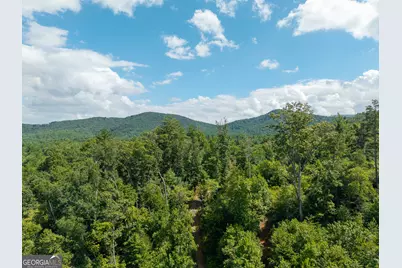 0 Higdon Creek Road, Blue Ridge, GA 30513 - Photo 35