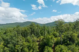 0 Higdon Creek Rd, Blue Ridge, GA 30513 - Photo 35