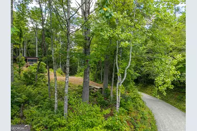 0 Higdon Creek Road, Blue Ridge, GA 30513 - Photo 19
