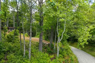 0 Higdon Creek Rd, Blue Ridge, GA 30513 - Photo 19