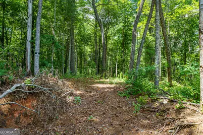 0 Higdon Creek Road, Blue Ridge, GA 30513 - Photo 21