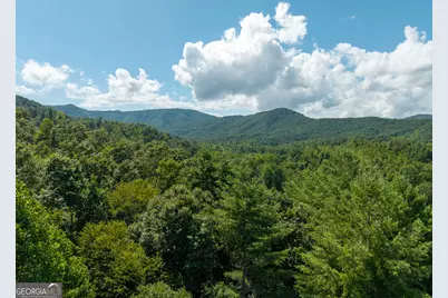0 Higdon Creek Road, Blue Ridge, GA 30513 - Photo 37
