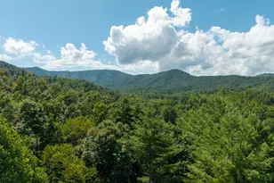 0 Higdon Creek Rd, Blue Ridge, GA 30513 - Photo 37