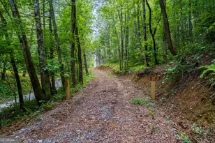 0 Higdon Creek Rd, Blue Ridge, GA 30513 - Photo 17